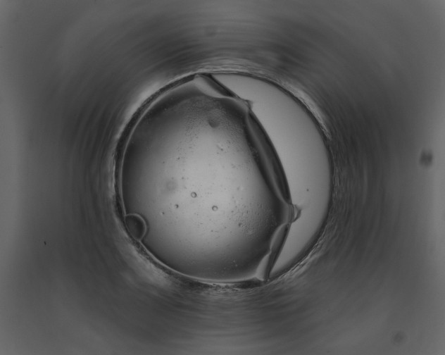 X0000091671083200708231324
