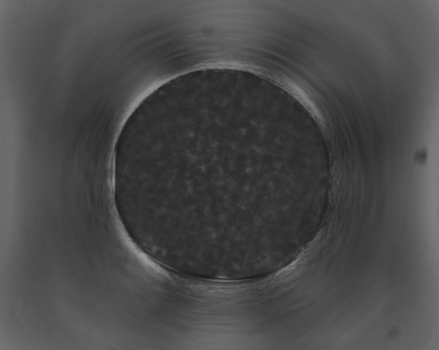 X0000091671084200708231324