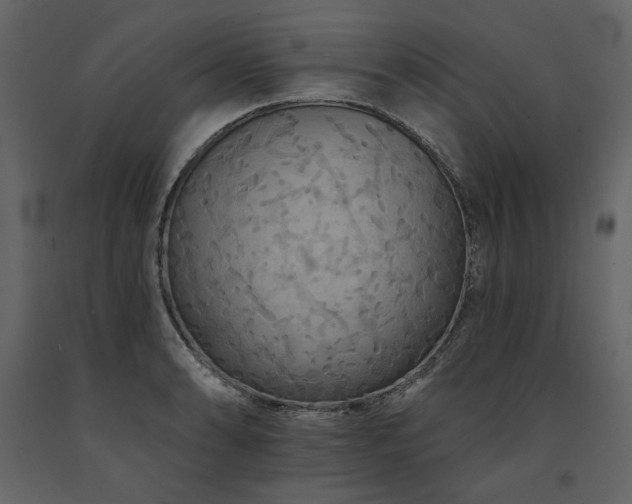 X0000091671086200708231324