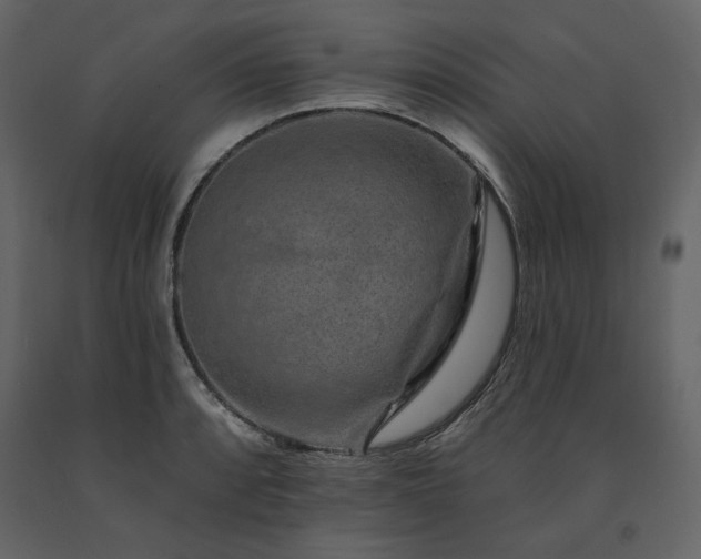 X0000091671088200708231324