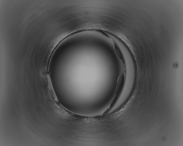 X0000091671089200708231324