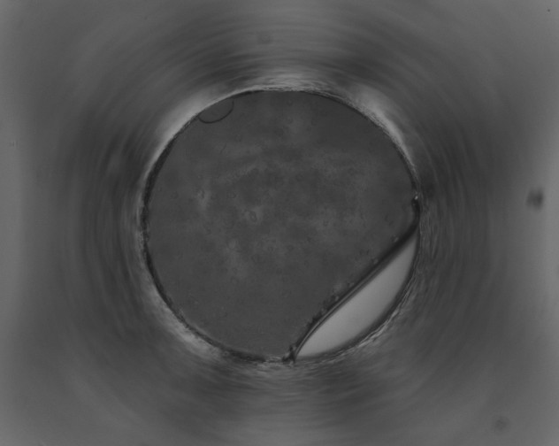 X0000091671091200708231323