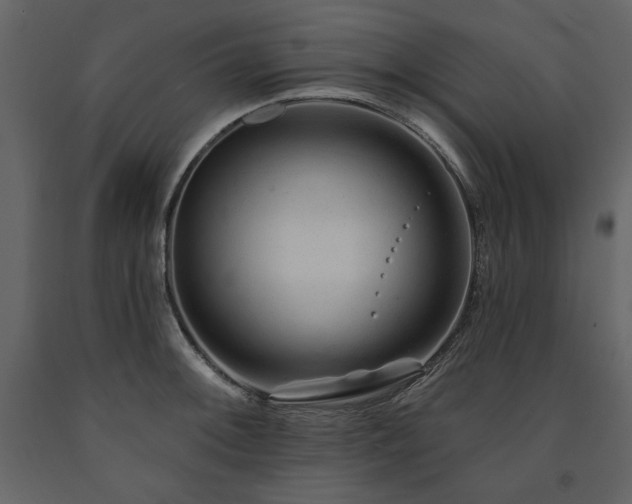 X0000091671092200708231323