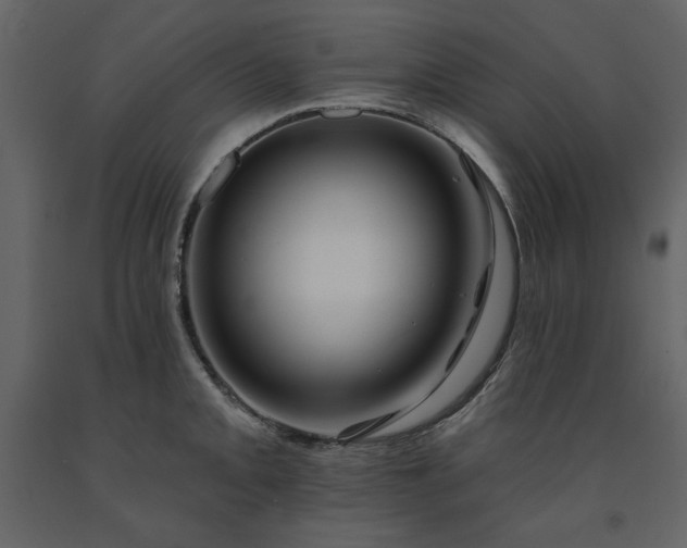 X0000091671093200708231323