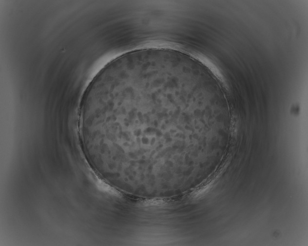 X0000091671094200708231323