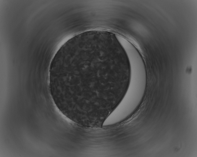 X0000091671095200708231323