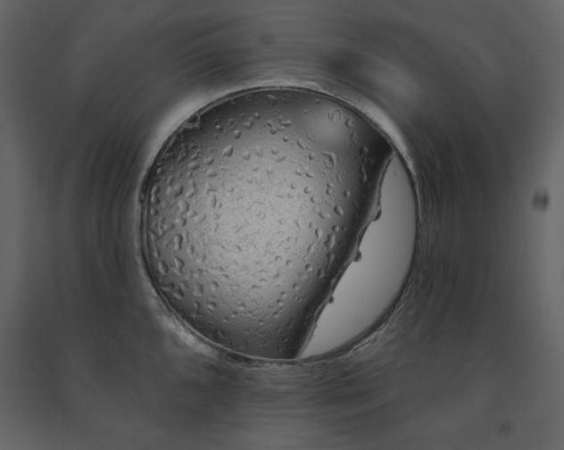 X0000091671096200708231323