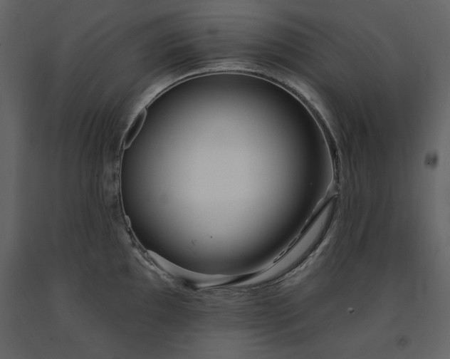 X0000091671097200708231323