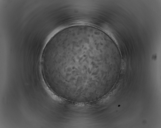 X0000091671098200708231323