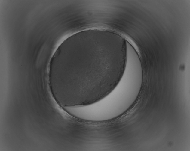 X0000091671099200708231323