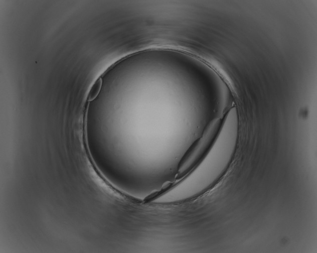 X0000091671100200708231323