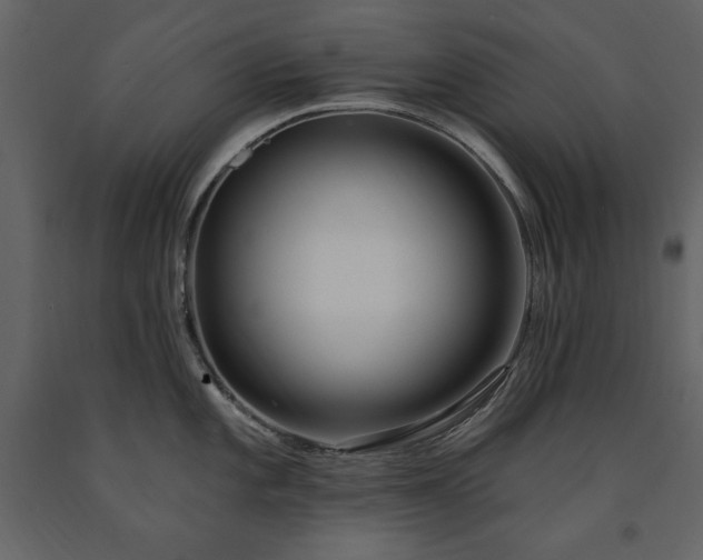X0000091671101200708231323
