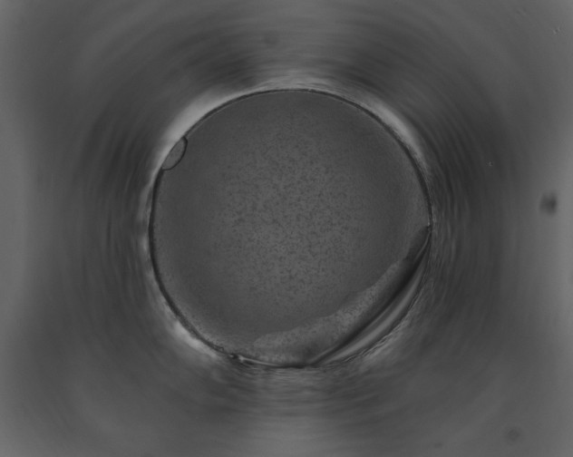 X0000091671102200708231323