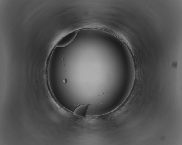 X0000091671103200708231323