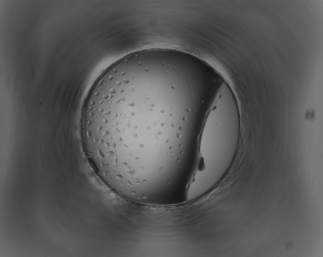 X0000091671104200708231323