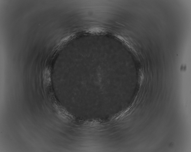 X0000091671106200708231323