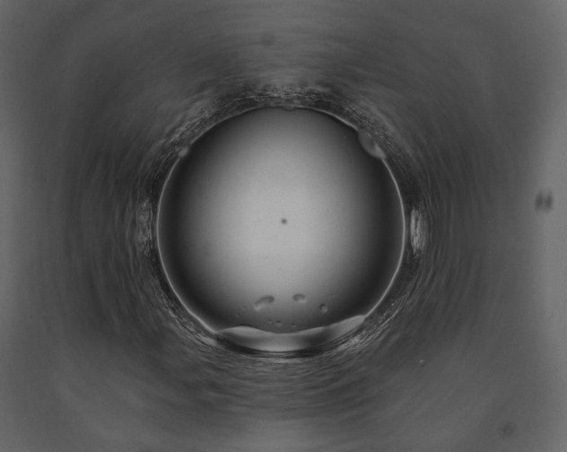 X0000091671107200708231323