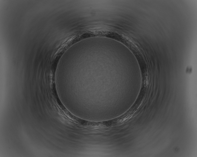 X0000091671108200708231323
