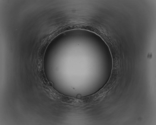 X0000091671109200708231323