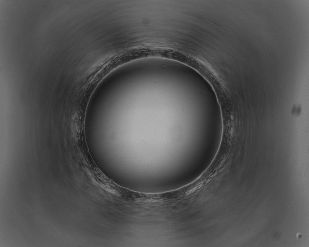 X0000091671110200708231323