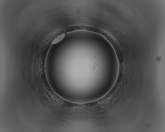 X0000091671111200708231323