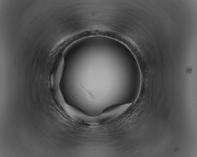 X0000091671112200708231323