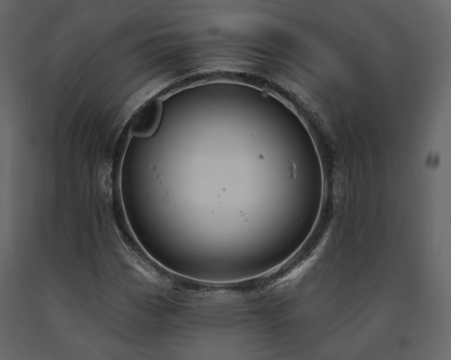 X0000091671113200708231323