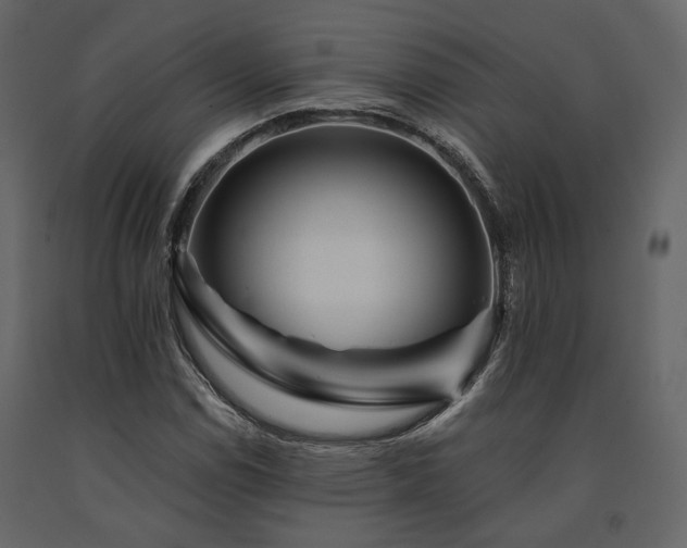 X0000091671114200708231323