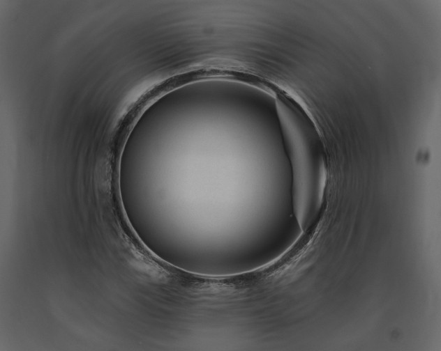 X0000091671115200708231323