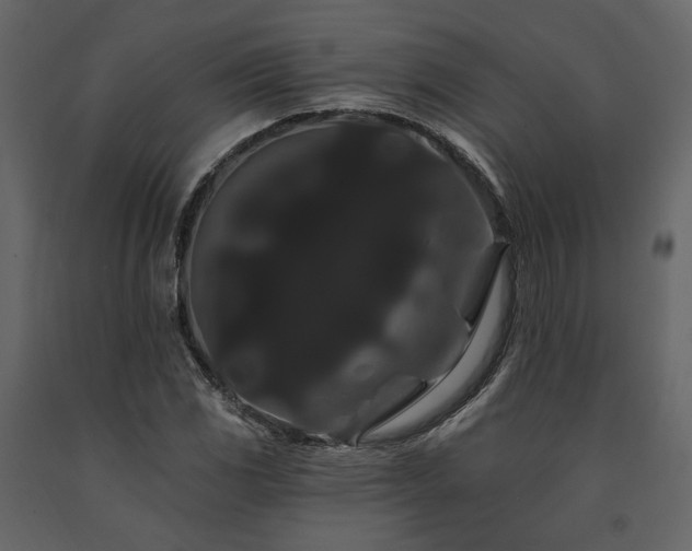 X0000091671117200708231323