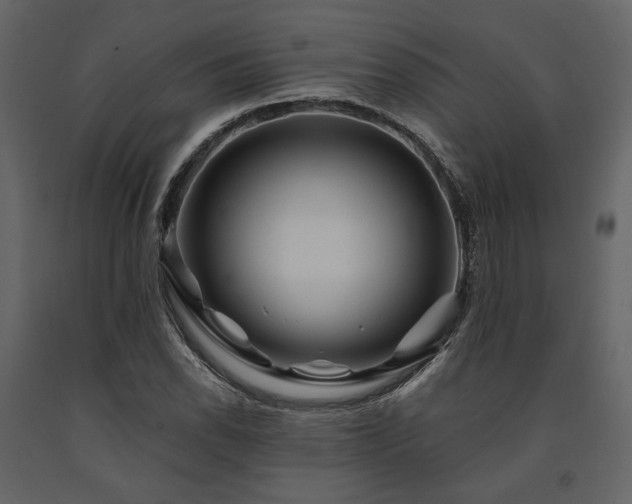 X0000091671118200708231323