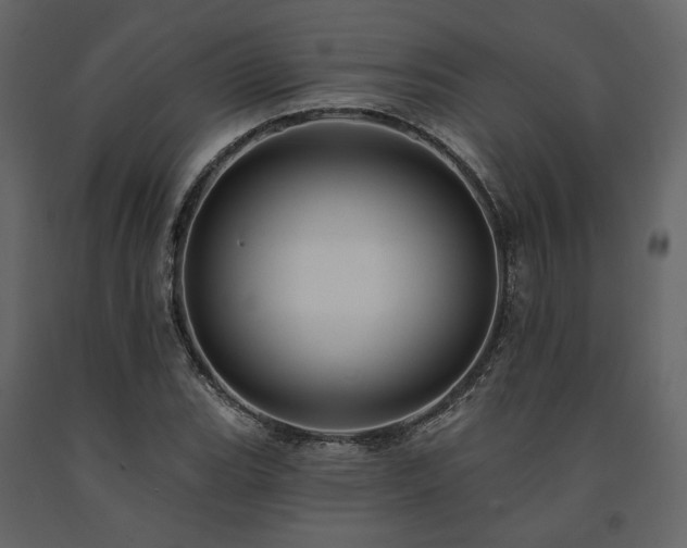 X0000091671119200708231323
