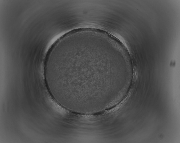 X0000091671120200708231323
