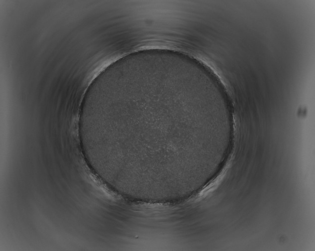 X0000091671121200708231323