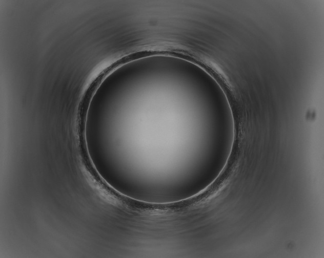 X0000091671122200708231323