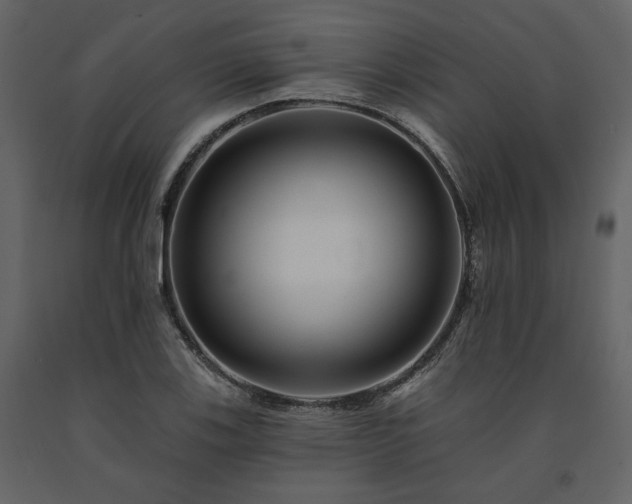 X0000091671123200708231323