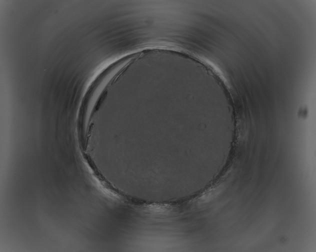 X0000091671125200708231323