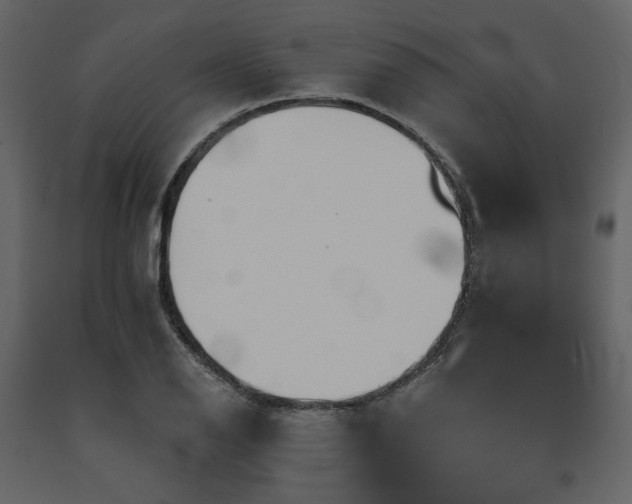 X0000091671126200708231323
