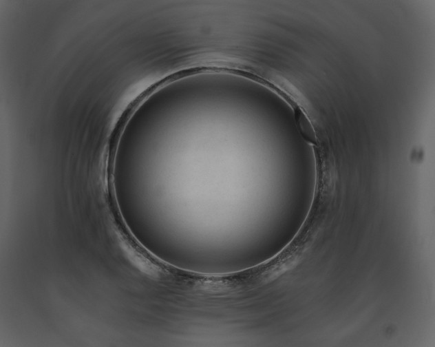 X0000091671128200708231323