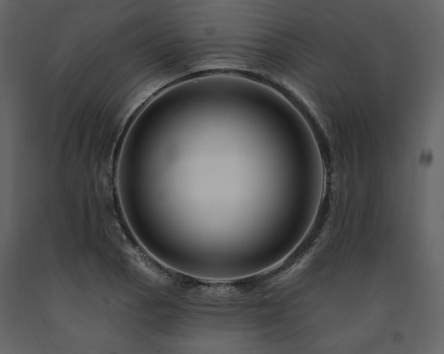 X0000091671129200708231323