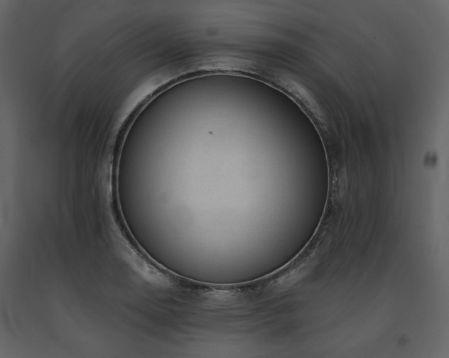 X0000091671130200708231323