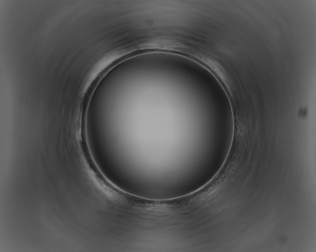 X0000091671131200708231323