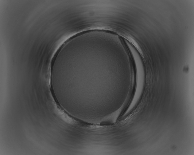 X0000091671132200708231323