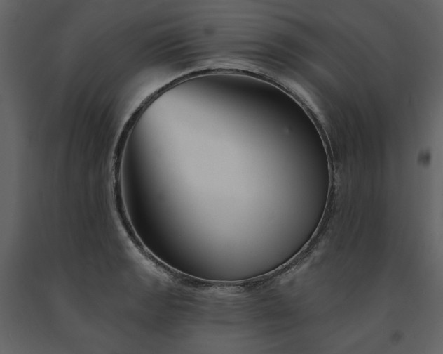 X0000091671133200708231323