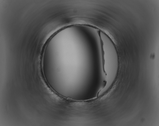 X0000091671134200708231323