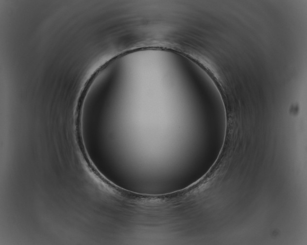 X0000091671135200708231323