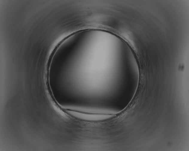 X0000091671136200708231323
