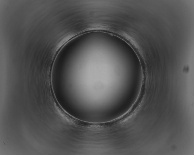 X0000091671137200708231323