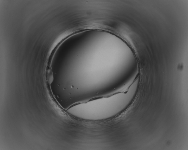 X0000091671138200708231323