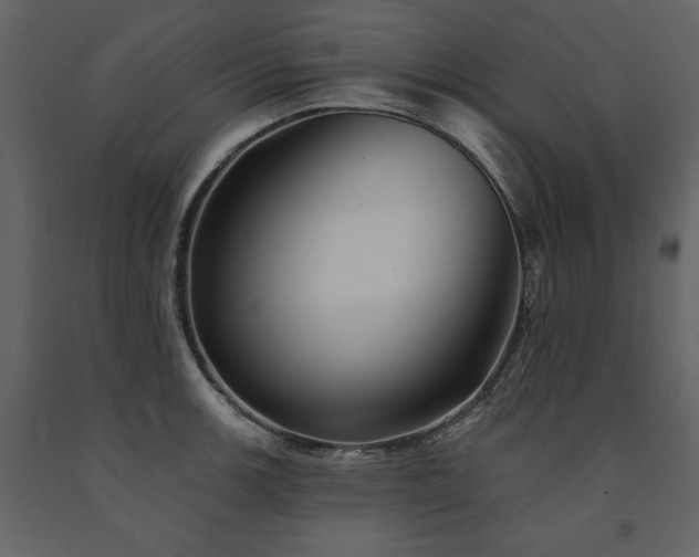 X0000091671139200708231323